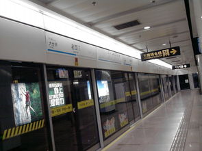 忙里偷闲的小确幸 寒假上海五日治愈之旅